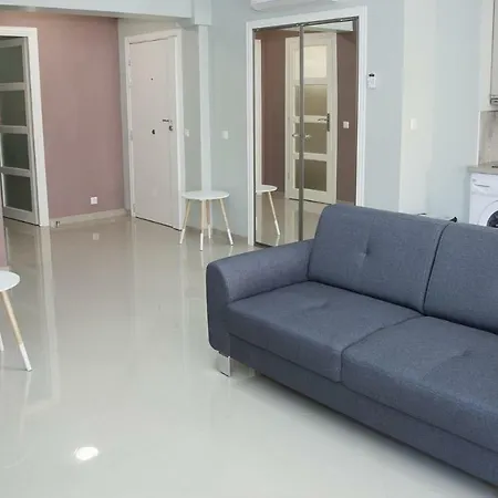 Big & Stylish 2 Flat 尼斯